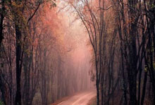 [棋牌]高清-南洋杯世界围棋大师赛 王星昊对决申真谞.