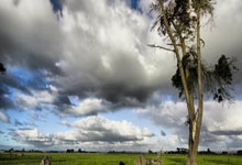 [天下足球]勒沃库森战胜柏林联合 继续领跑.